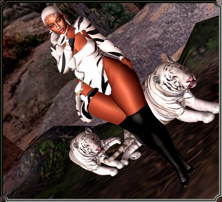 MajestyCoolCatCostume